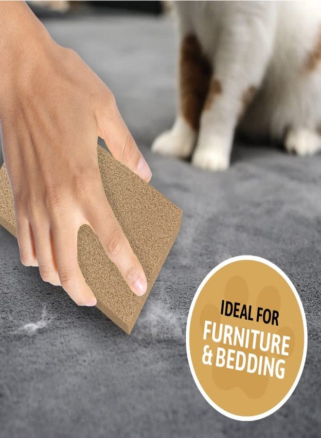 SpongeCo Pet Sponge Hair Lifter 3 Pack Remove Dog, Cat and Other Pet Hair from Furniture, Carpet, Bedding and Clothing - 3 Sponges All Natural Latex Rubber, Made in The USA - Image 4